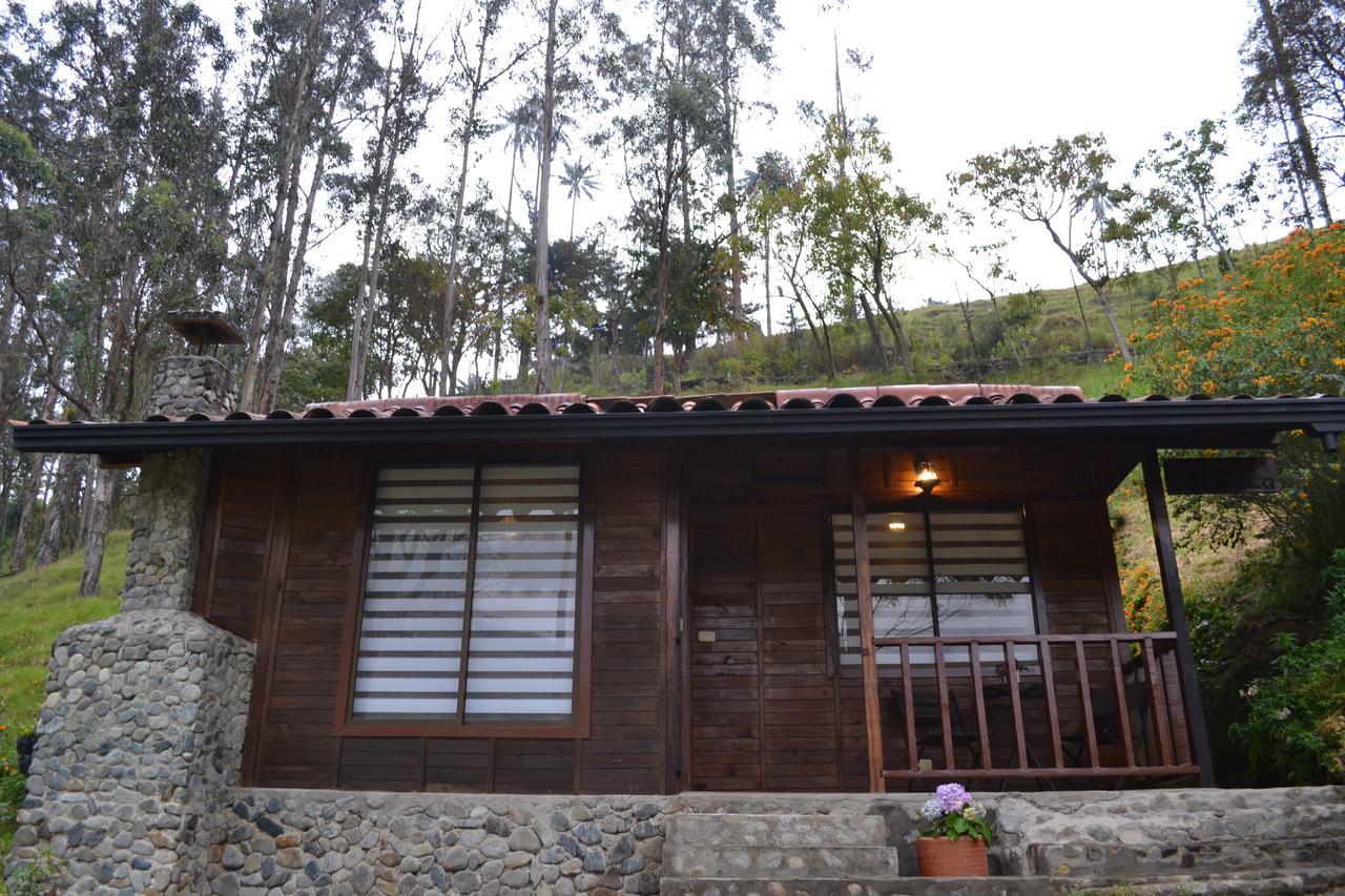 Cabanas Valle Del Cocora La Truchera Salento Exterior photo