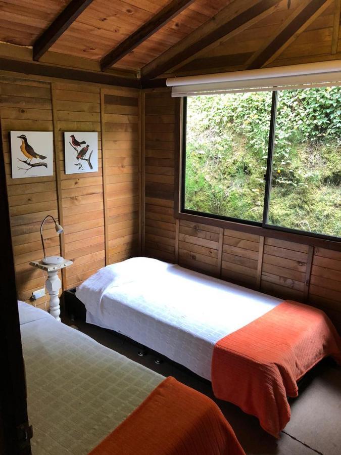 Cabanas Valle Del Cocora La Truchera Salento Exterior photo
