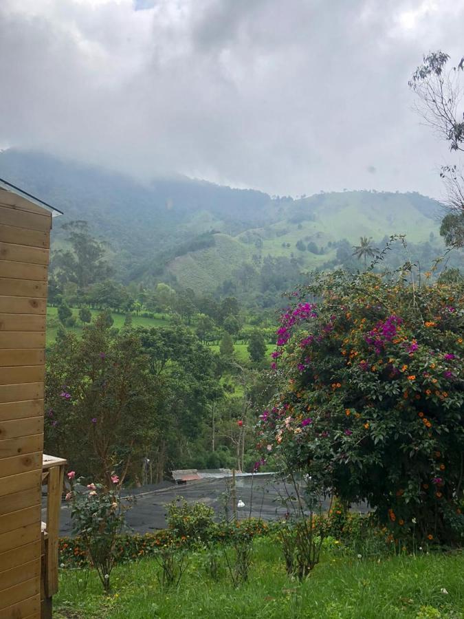 Cabanas Valle Del Cocora La Truchera Salento Exterior photo